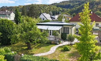 Höflein nahe Klosterneuburg: Rarität direkt an der Donau - hochwassersicher!