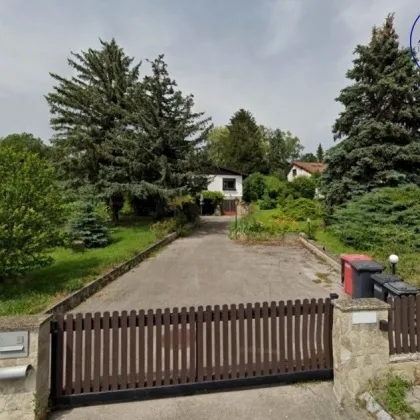 Bungalow auf großem Grundstück nahe Hausleiten - inmitten Natur pur und herrlichem Weitblick! - Bild 2