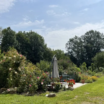 IDYLLISCHES Domizil + TRAUMHAFTER Garten + RUHEOASE + Bezirk BADEN + nächst SCHLOSS Kottingbrunn! - Bild 3