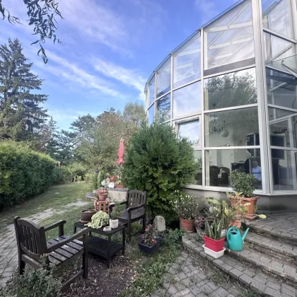 Einfamilienhaus in Speisinger Ruhelage mit großem, schönem Garten zu verkaufen! - Bild 3