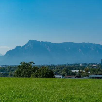 RESERVIERT: Sanierungsobjekt in schöner Lage von Bergheim - Bild 2