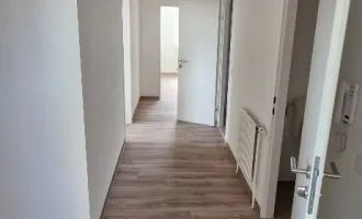 helle renovierte freundliche 3  Zimmer Wohnung