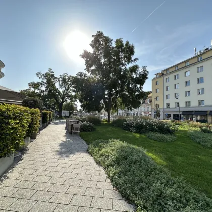 Sanierungsbedürftige Wohnung in einer der Bestlagen Badens - mit Terrasse und Aufzug - Bild 2