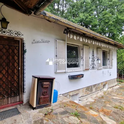 ERHALTENSWERTES HAUS IM GRÜNLAND mit großem Grund in malerischem Michelbach - sanierungsbedürftig, Ausbaubar, Garage, große Einfahrt & herrlicher Grünblick - Bild 3