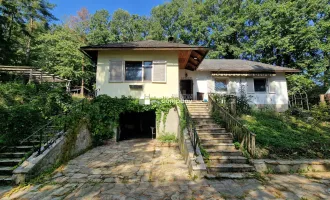 Abgeschotteter Bungalow mit großem Grund in malerischem Michelbach - sanierungsbedürftig, Garage, große Einfahrt & herrlicher Grünblick