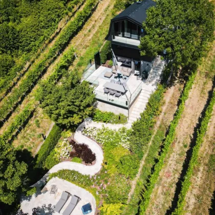 RARITÄT der EXTRAKLASSE! Perfekt revitalisiertes Weingartenhaus mit atemberaubendem Fernblick inmitten der Döblinger Weinberge! - Bild 2