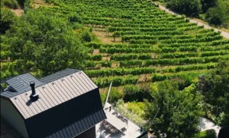 RARITÄT der EXTRAKLASSE! Perfekt revitalisiertes Weingartenhaus mit atemberaubendem Fernblick inmitten der Döblinger Weinberge!