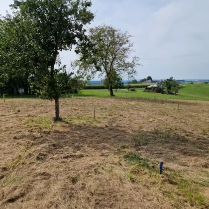 Ihr Baugrundstück in Eisengattern/Kirchham! - Bild 3