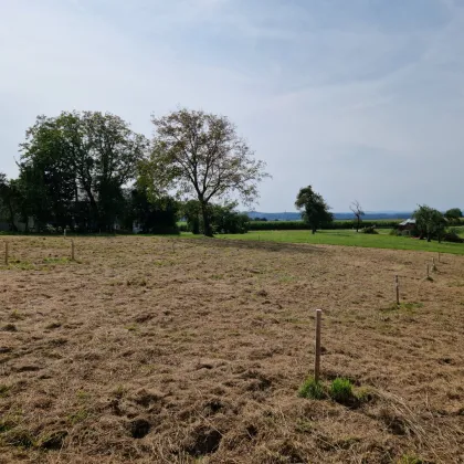 Ihr Baugrundstück in Eisengattern/Kirchham! - Bild 3