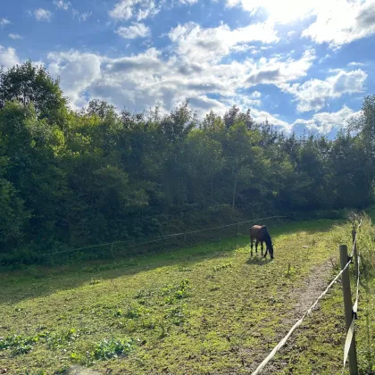 Attraktives Baugrundstück im Norden Klagenfurts - Bild 2