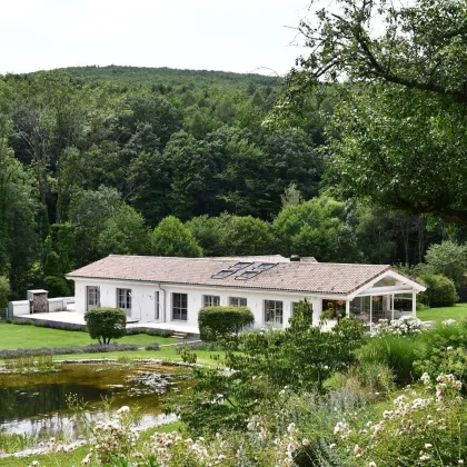 WOLFSGRABEN (Bestlage) - LUXUS RESIDENZ CHALET in idyllischer Grünruhelage - Bild 3