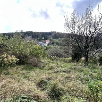 +++Bauträgergrundstück +++ mit eingereichter Planung. Graz- Thalstraße - Bild 3