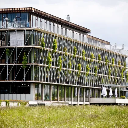 Arbeiten und Wohlfühlen im SOHO Innsbruck - Penthouse-Büro - Bild 2