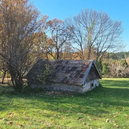 Idyllische Romantik im Waldviertel! - Bild 2