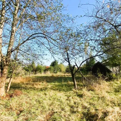 Idyllische Romantik im Waldviertel! - Bild 3