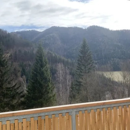 LETZTE 2 Zimmer-Einheit! - Wohntraum in den Wiener Alpen mit echter ZWEITWOHNSITZWIDMUNG beim Höhenluftkurort Semmering - Bild 3