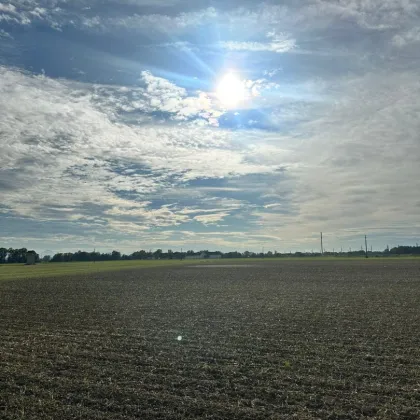 NATURNAHES WOHNEN OFTERING - großzügige Gartenflächen ab 342 m² - 10 Einheiten verfügbar - (Förderung möglich) - Bild 3