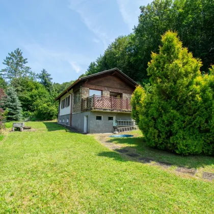 Zwischen Wald und Vogerlgezwitscher - Kleines Haus im Grünen - Bild 3