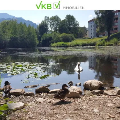 IDYLLISCHE GMUNDNER RANDLAGE MIT BERGPANORAMA - Bild 2