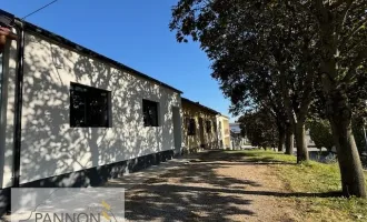 Exklusives Wohnvergnügen in Nickelsdorf: Vollsanierte, smarte Traumimmobilie mit sonnigen Garten & Terrasse