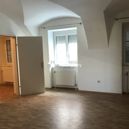 Weitläufige Wohnung Nr.2 mit Panoramagarten in Hainburg - Bild 3