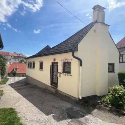 RARITÄT IN DER ALTSTADT VON KREMS: HISTORISCHES ENSEMBLE MIT 2 GARTEN-FLÄCHEN UND GROSSEM GEWÖLBEKELLER - Bild 3