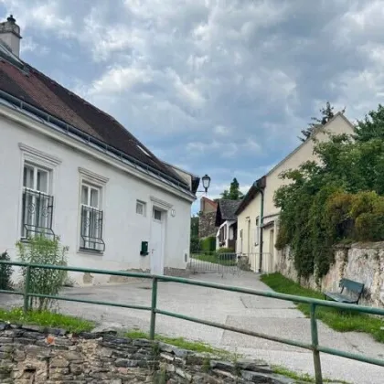 RARITÄT IN DER ALTSTADT VON KREMS: HISTORISCHES ENSEMBLE MIT 2 GARTEN-FLÄCHEN UND GROSSEM GEWÖLBEKELLER - Bild 2