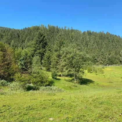 Wohnen im Herzen der Alpen – Baugrundstück in malerischer Umgebung in Donnersbachwald. - Bild 3