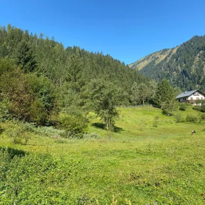 Wohnen im Herzen der Alpen – Baugrundstück in malerischer Umgebung in Donnersbachwald. - Bild 2