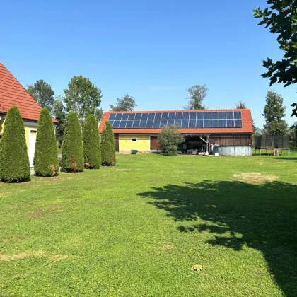 Herrschaftliches, top saniertes 280m² Bauernhaus mit Gutshofcharakter, großem Innenhof, Garagen- und Nebengebäuden, in Ortslage - Bild 3