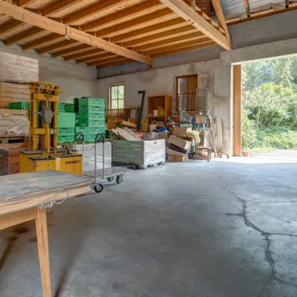 Bauernhof mit Gewerbeflächen * Lagerhallen * Landwirtschafts / Agrarflächen * direkt am Wald gelegen - Bild 2