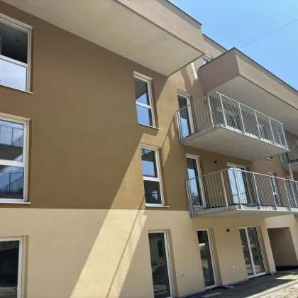 ++ PREISHAMMER ++ PROVISIONSFREI und ERSTBEZUG ++ GARTENWOHNUNG++WFL 64,2 m², 3 ZIMMER mit große TERRASSE ++FINANZIERUNGSBERATUNG++ - Bild 2