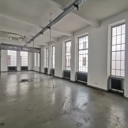 seltene Gelegenheit - lichdurchflutete, bezugsfähige Loftfläche für Kreative - rd. 328 m2 Büro/Atelier im Industrial-Loft mit Lift, wärmegedämmtes Dach, neue Lichtkuppeln, neue Loftfenster - Bild 3