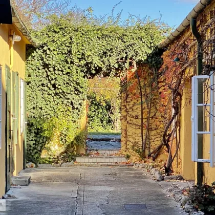 HISTORISCHES BÜRGERHAUS MIT HERRLICHEM GARTEN /// BIS ZU SECHS WOHNEINHEITEN MIT BESTEHENDER PLANUNG - Bild 2