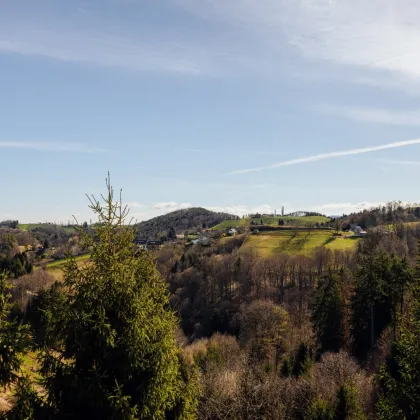 Höhenlage mit Ausblick über die mediterrane Weinregion: Wohnen am Kranachberg! - Bild 3