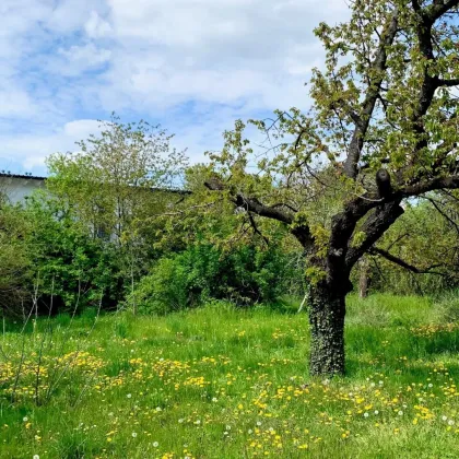 Baugrund in ruhiger Siedlungslage [A\\] - Bild 3