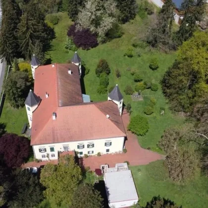 Ein Märchenschloss Nähe Wildon-komplett saniert mit prachtvoller 40.000m² Parkanlage - Biomasseheizung! - Bild 3