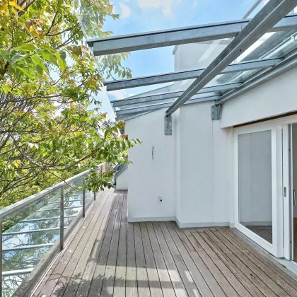 Bestlage nahe Wertheimsteinpark! Lichtdurchflutetes Penthouse mit fünf Terrassen und Dachterrasse - Bild 2