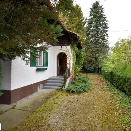 Einfamilienhaus mit idyllischem Garten in Attnang Puchheim zu verkaufen - Bild 2