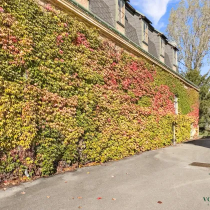 Wohnen mit Tennisplatz und großem Privatgarten- Exklusive Wohnung im historischen Schloss mit Parkblick - Bild 2