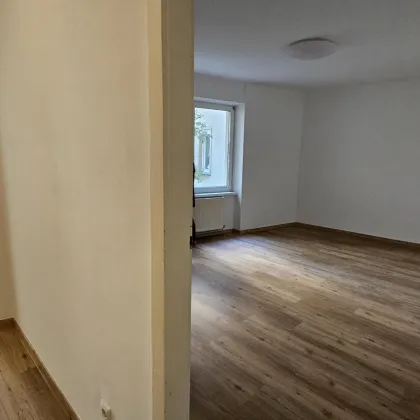 Liebe Kleinwohnung, 41m2, teilweise neu saniert, Grünruhelage! - Bild 2