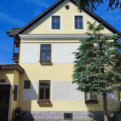 Neu renovierte 5 Zimmerwohnung - 5 Minuten zum Erlaufsee und 1Minute zum Skilift um Netto € 559,-- - Bild 3