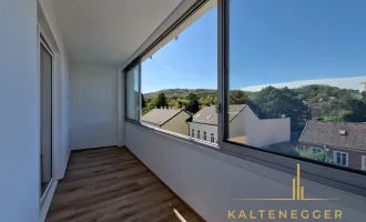 Frisch renovierte 2-Zimmer-Wohnung mit Loggia & Blick auf die Burg Liechtenstein