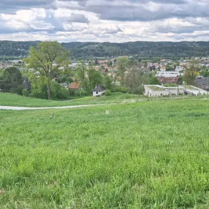 8200 Gleisdorf, Jungberg: Baugrundstücke mit ca. 1.000m² in Panoramalage - Bild 2