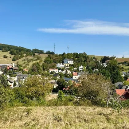 Traumhaftes Baugrundstück in Klosterneuburg - Bild 3