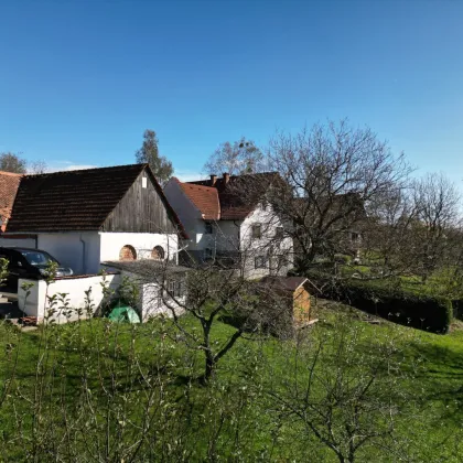 EINFAMILIENHAUS in Grünruhelage - Bild 3