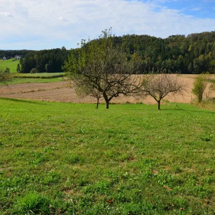 BAUGRUNDSTÜCK am ORTSRAND in Grünruhelage - Bild 2