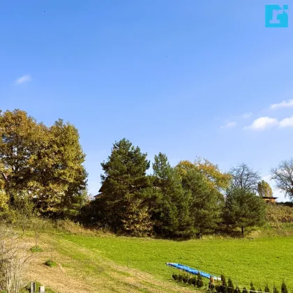 Traumhaftes Baugrundstück in ruhiger Lage für Ihr Eigenheim - Bild 3