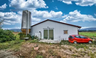 Landwirtschaftliche Nutzfläche mit Halle