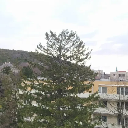 Dachgeschosswohnung mit Terrasse in zentraler Lage in Baden - Bild 3